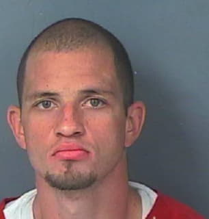 Bradley Timothy - Hernando County, Florida 