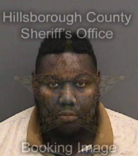 Ford Jarvis - Hillsborough County, Florida 