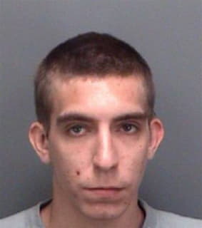 Brumer Nathan - Pinellas County, Florida 