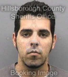 Roqueramirez Edgardo - Hillsborough County, Florida 