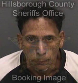Acevedo Nestor - Hillsborough County, Florida 