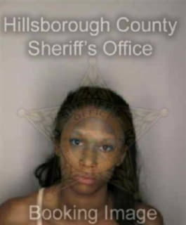 Rolle Petel - Hillsborough County, Florida 