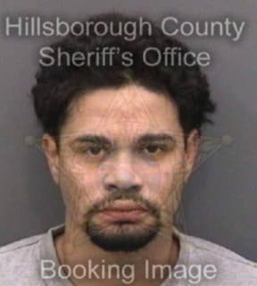 Lopez Roberto - Hillsborough County, Florida 
