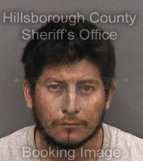 Bravoperez Jehu - Hillsborough County, Florida 