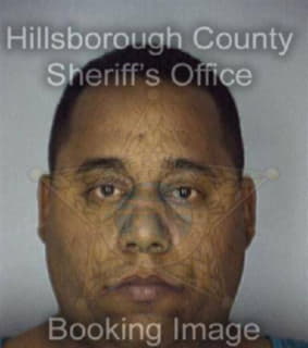 Rodriguez Luis - Hillsborough County, Florida 