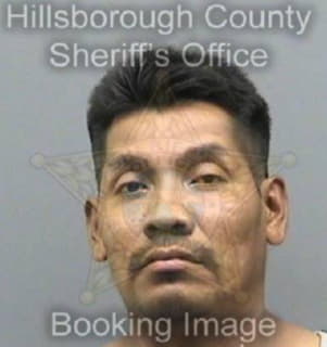 Vasquezgomez Juan - Hillsborough County, Florida 