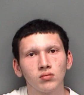 Hartley Shane - Pinellas County, Florida 