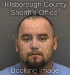 Martinez Vincente - Hillsborough County, Florida 