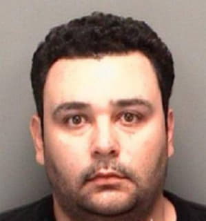 Gonzalez David - Pinellas County, Florida 