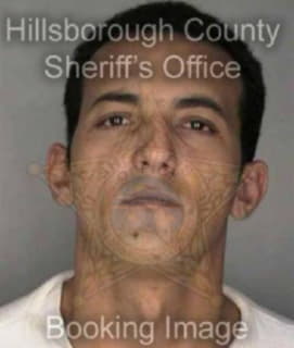 Cano Hector - Hillsborough County, Florida 