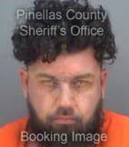 Henry John - Pinellas County, Florida 