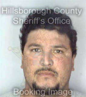 Perez Jorge - Hillsborough County, Florida 