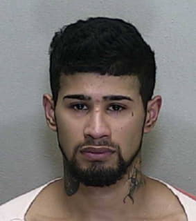 Gonzalez Luis - Marion County, Florida 