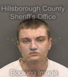 Mendez Matthew - Hillsborough County, Florida 