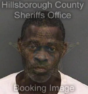 Ross Michael - Hillsborough County, Florida 