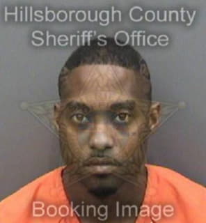 Washington Michael - Hillsborough County, Florida 