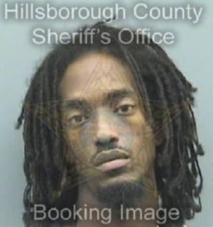 Williams Theodore - Hillsborough County, Florida 