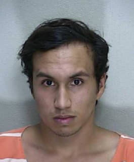 Gonzalez-Rosa Andres - Marion County, Florida 