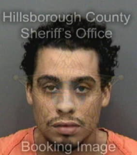 Romero Christopher - Hillsborough County, Florida 