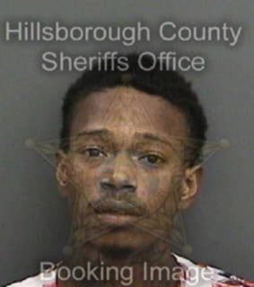 Robinson David - Hillsborough County, Florida 