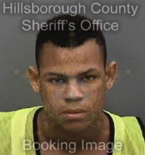 Davis Marquest - Hillsborough County, Florida 