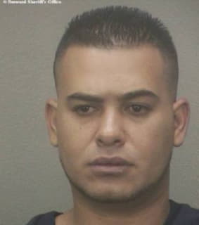 Molina Mauricio - Broward County, Florida 