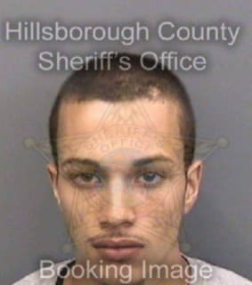 Rivera Michael - Hillsborough County, Florida 