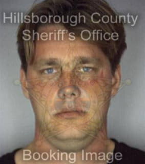 Mattson Michael - Hillsborough County, Florida 