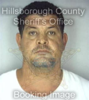 Hernandez Orlando - Hillsborough County, Florida 