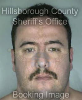 Vega Braulio - Hillsborough County, Florida 