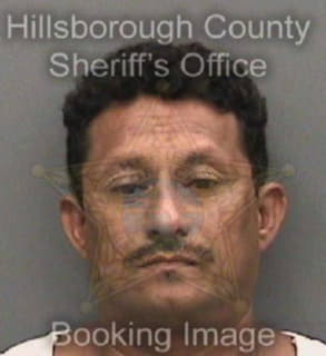 Castro Noe - Hillsborough County, Florida 