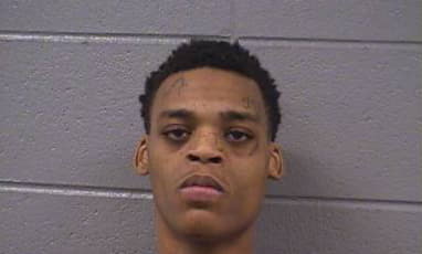 Matthews Alxzavier - Cook County, Illinois 