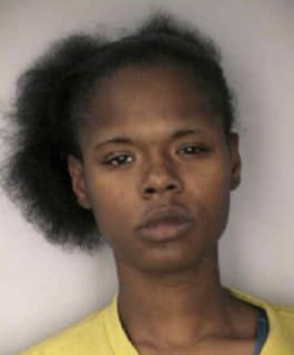 Francis Amina - Hillsborough County, Florida 