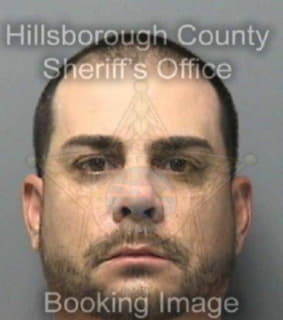 Pulido Andrew - Hillsborough County, Florida 