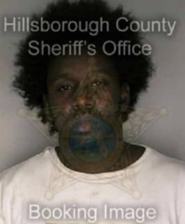 Robinson Darryl - Hillsborough County, Florida 