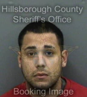 Delgado Ismaaeel - Hillsborough County, Florida 