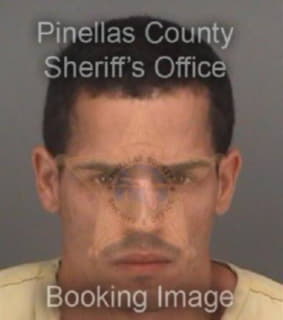 Diaz Martin - Pinellas County, Florida 