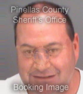 Metcalf Michael - Pinellas County, Florida 