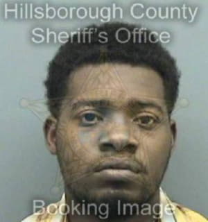 Nelsonvickers Michael - Hillsborough County, Florida 