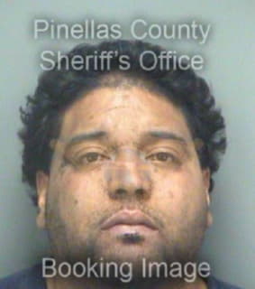 Alvarez Eliezer - Pinellas County, Florida 