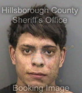 Rodriguezaponte Luis - Hillsborough County, Florida 