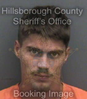 Owens Nicholas - Hillsborough County, Florida 