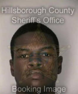 Williams Quenton - Hillsborough County, Florida 