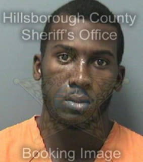 Mckinney Andron - Hillsborough County, Florida 