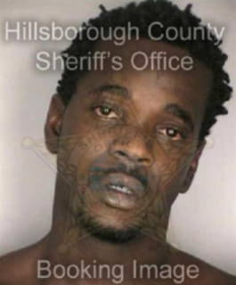 Dunn David - Hillsborough County, Florida 