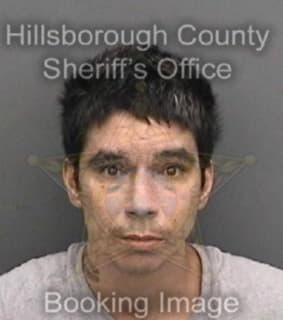 Reyes Ismael - Hillsborough County, Florida 