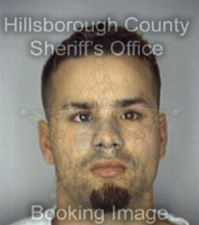 Agosto Alexandro - Hillsborough County, Florida 