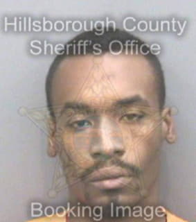 Johnson James - Hillsborough County, Florida 