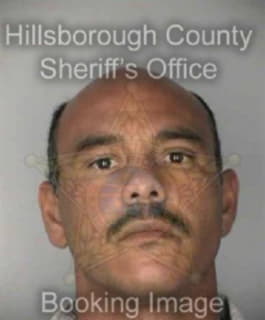 Lugo Joseph - Hillsborough County, Florida 