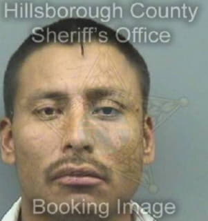 Perez Juan - Hillsborough County, Florida 